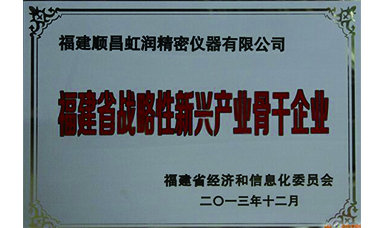 虹潤躋身省級戰略性新興產業骨干企業
